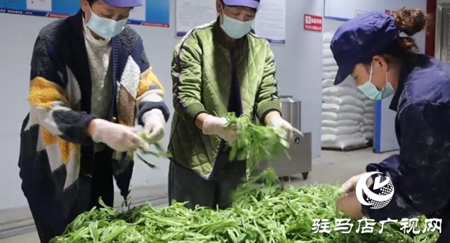 新蔡常老庄村:小“蒸菜”蒸出致富新希望
