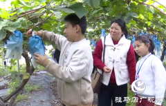 ​​驿城区：亲子采摘活动助农增收​