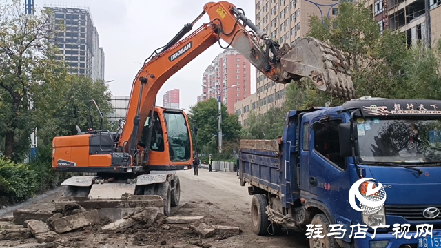 驻马店市区慎阳路快慢车道提升改造启动