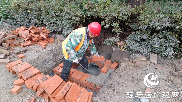 驻马店洪河大道维修工程有序推进 预计年底全面完工