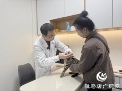 专业宠物医生详解冬季爱宠养护秘籍