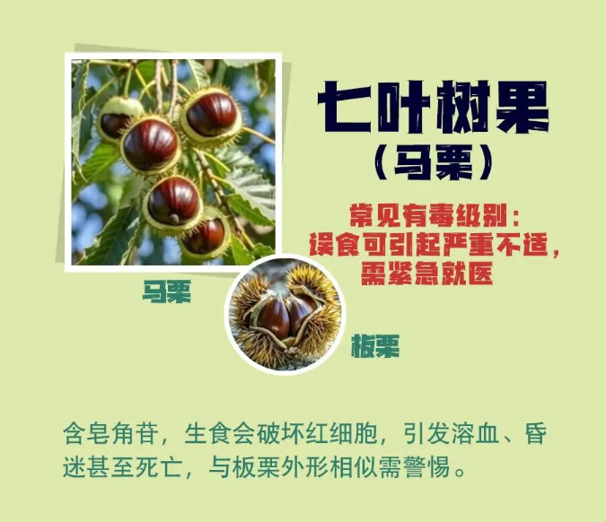 驻马店人注意！有毒！别捡！别乱吃！