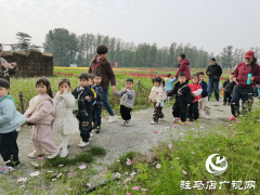 魏庄村&ldquo;天边花海&rdquo;即将开园 两百亩花田绘就秋日乡村画卷​​