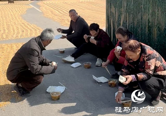 驿城区水屯镇：村支书自费为村民送餐 暖心服务解晒粮难题