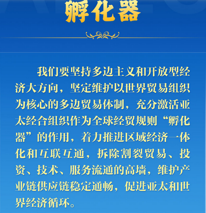 学习新语丨推动亚太合作，习近平主席生动阐释