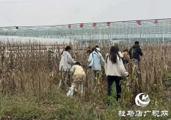 ​​驻马店职业技术学院商学院开展素质拓展与劳动教育​