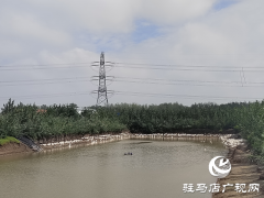 新蔡县余店镇：特色种养&ldquo;结硕果&rdquo; 乡村振兴&ldquo;加速跑&rdquo;