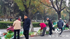 驿城区：设置便民摊位点 让&ldquo;烟火气&rdquo;与&ldquo;文明风&rdquo;共生