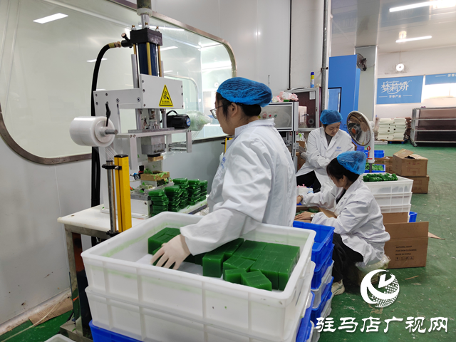 河南杞乐生物科技:奋战四季度 全力冲刺全年销售目标
