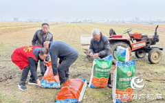 驻马店经济开发区关王庙乡：精准服务保障秋收秋种​
