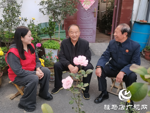  驿城区西园街道文明路社区：巾帼暖心护夕阳 筑牢社区养老服务网