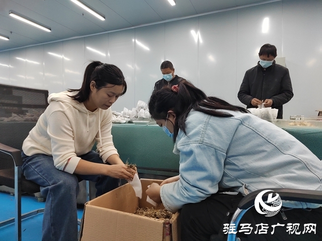 驻马店艾多多生物科技有限公司：全力备战双十一 满格状态迎战销售旺季
