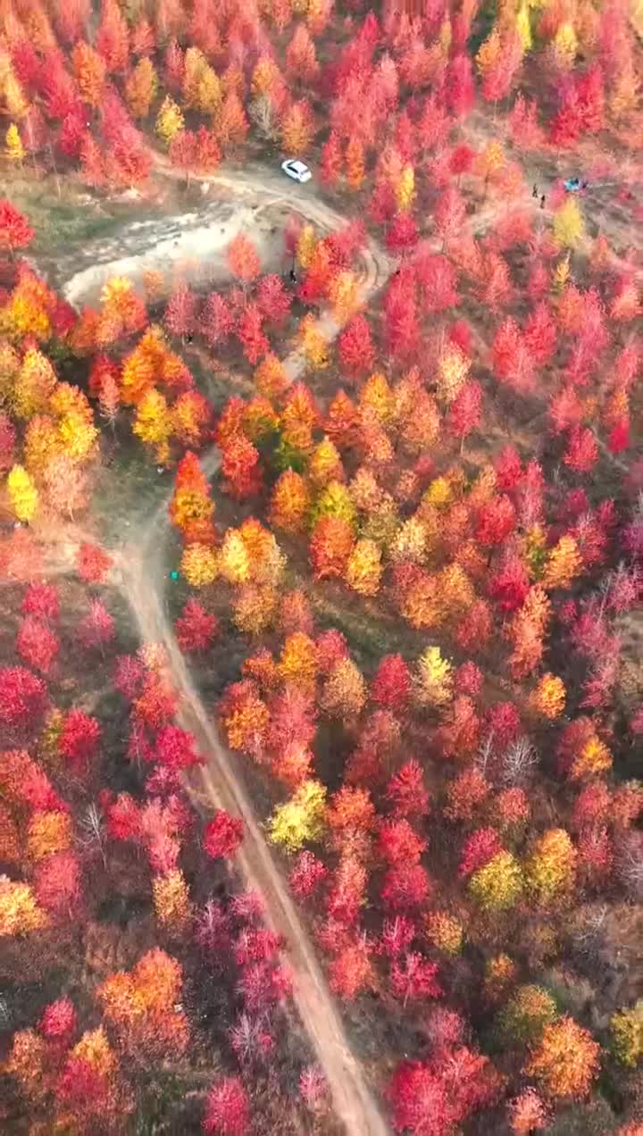 秋意渐浓，是时候给大美驻马店换上新装了#AI#秋天来了