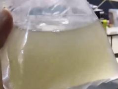 网购50条观赏鱼结果收到一袋水？商家：路上被煮化了