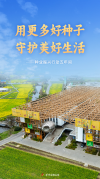 用更多好种子守护美好生活——种业振兴行动五年间