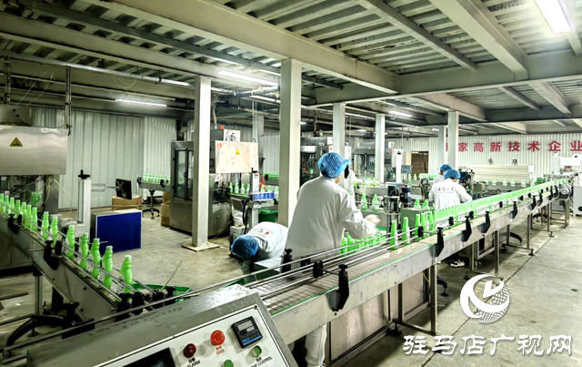 驻马店市晨钟生物科技:以现代化治理做强丝瓜产业 绘就乡村振兴“新样本”