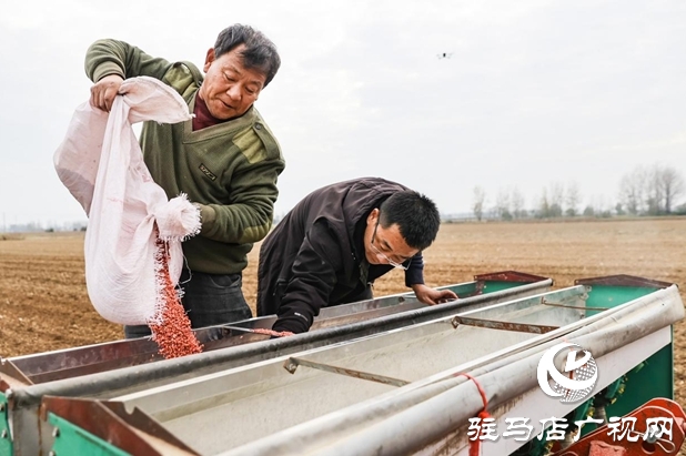 驿城区:精准施策 力保晚播小麦不减产