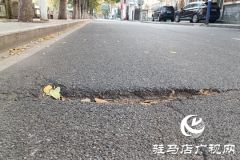 路面坑洼 路灯不亮！骏马路出行安全隐患盼消除