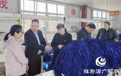 陶庄村&ldquo;巧媳妇&rdquo;工程织就幸福新生活