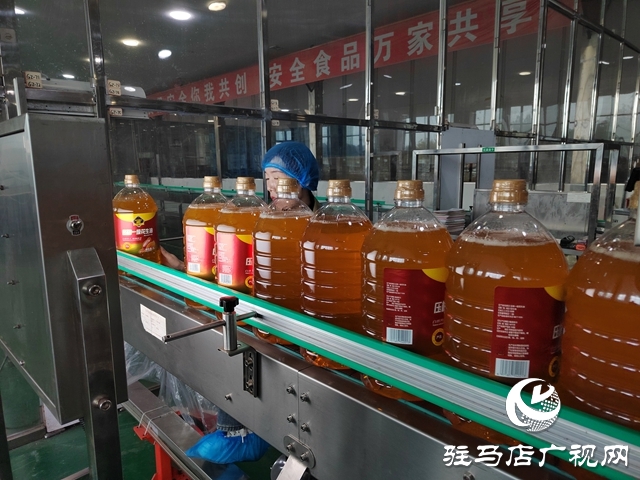 遂平县:铆足干劲赶进度 奋力冲刺四季度