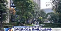 精神暴力也是家暴 最高法发布2025中国反家庭暴力典型案例