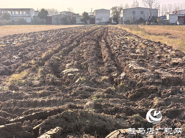 开发区关王庙乡:抢抓农时 扎实推进冬小麦有序播种