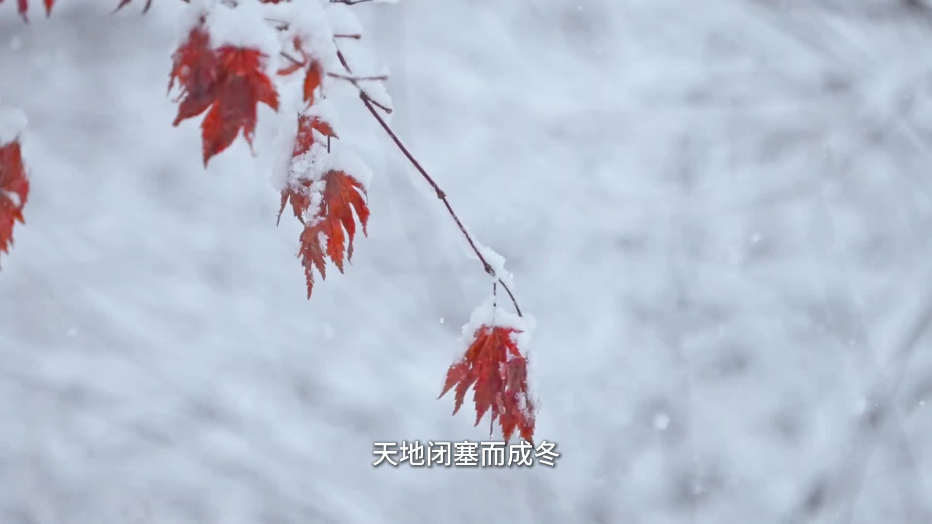 小雪