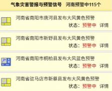 阵风9到10级！河南115个预警生效中！大风天请这样做→