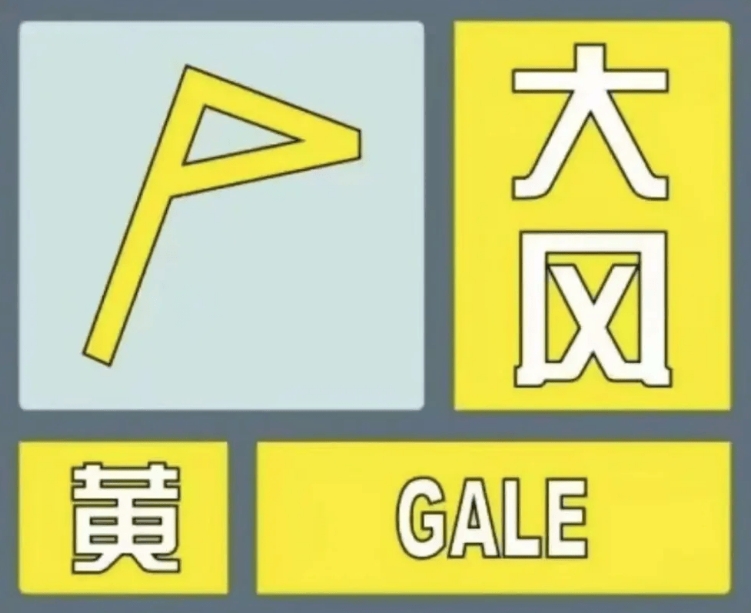 9到10级！驻马店大风黄色预警信号持续生效中…