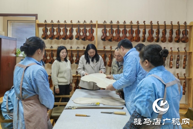 紧锣密鼓备展农加会 确山提琴欲奏“国际歌”