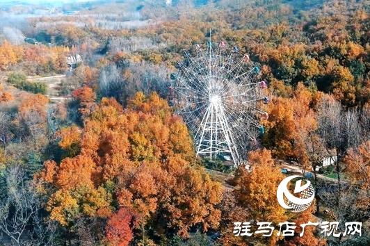 金顶山免门票迎农加会 推动“农业+旅游”跨界融合