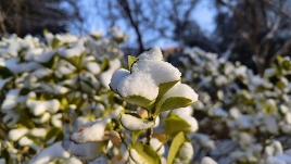 冷空气活动频繁气温起伏大 华北东北雨雪将发展