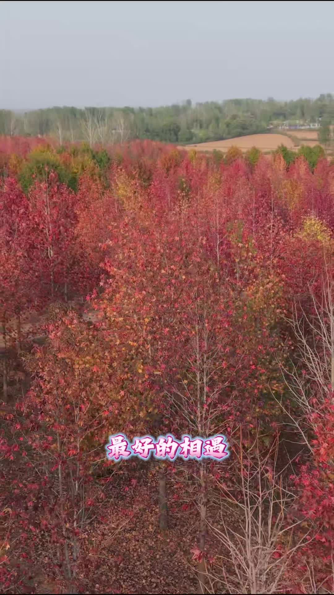 驻驻虽然没办法分配对象，但可以给你推荐约会地点！（温馨提示：谨防网络诈骗）