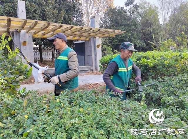 驻马店：园林精心养护迎盛会 满城绿意笑纳八方客