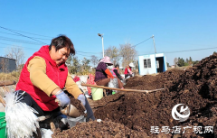 正阳县熊寨镇毛集村：菌菇撑起&ldquo;致富伞&rdquo; 乡村绽放&ldquo;幸福花&rdquo;