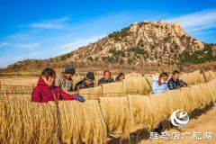 &ldquo;守&rdquo;艺夫妇点&ldquo;薯&rdquo;成金 一条粉条牵起共富路