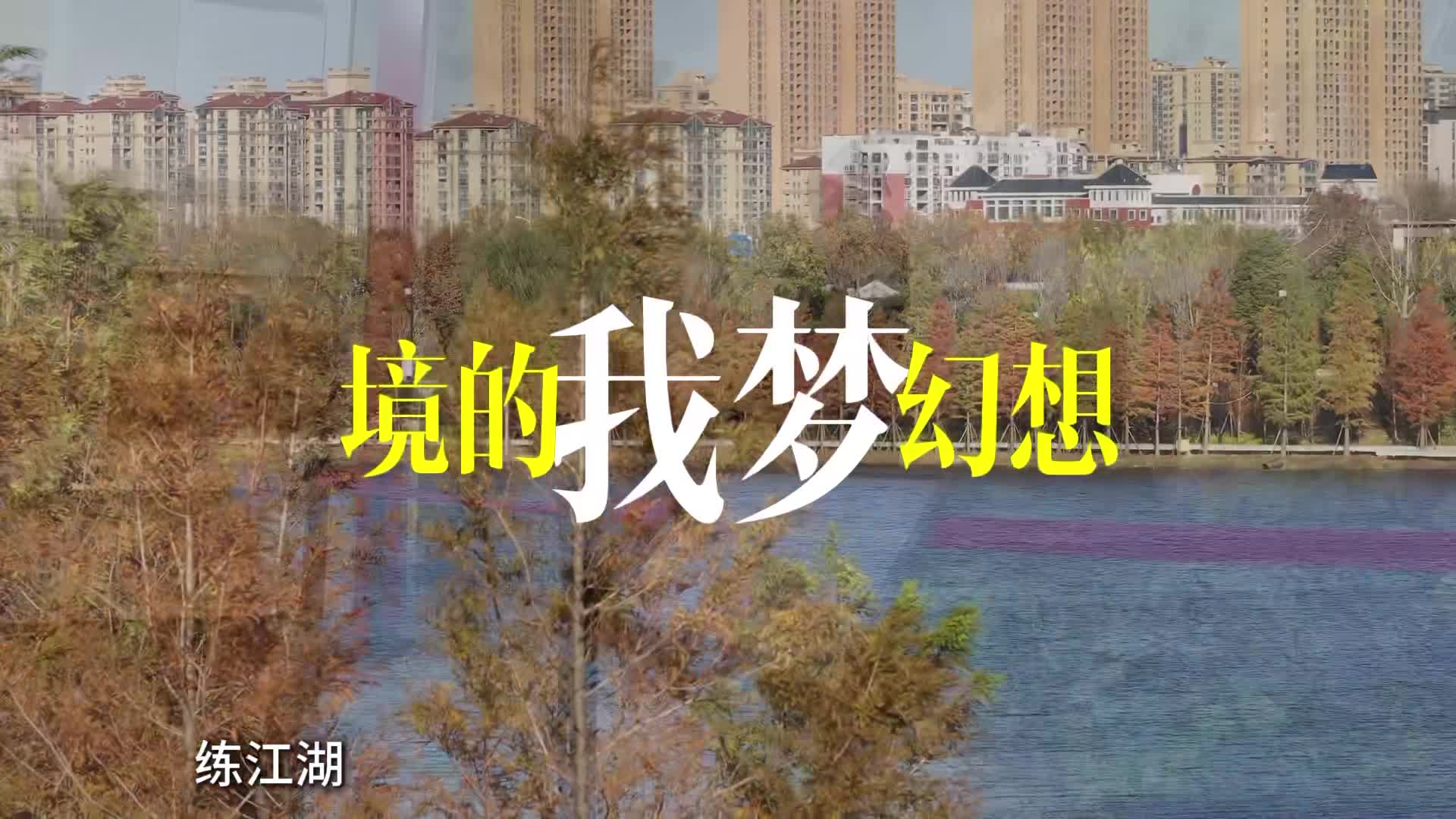 磁场弱了？驻驻给你力量！此刻起，愿你往后的道路，皆是繁花似锦的坦途。#她是踏碎星河落入我梦境的幻想#驻马店 #歌曲堕合唱版