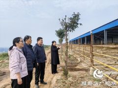 泌阳县陶庄村：&ldquo;五星&rdquo;支部强引领 筑牢堡垒促振兴