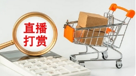 中央网信办指导网站平台深入整治网络直播打赏乱象