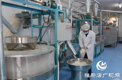 驻马店市驿城区：石磨转出新动能 特色产业绘就乡村振兴新图景