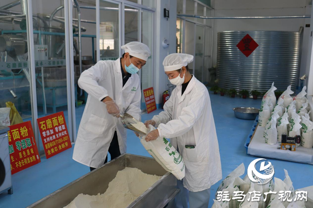 驻马店市驿城区:石磨转出新动能 特色产业绘就乡村振兴新图景
