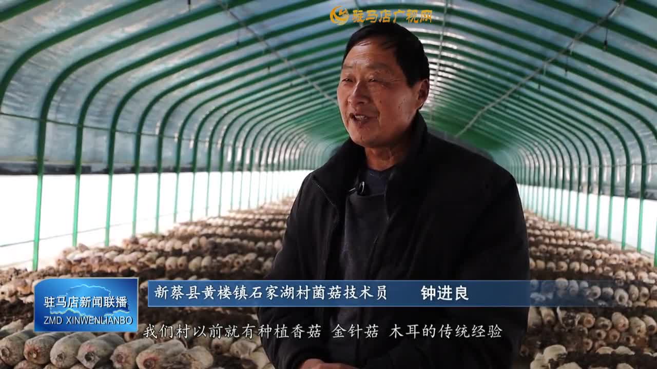 【一村一品话振兴】新蔡县黄楼镇石家湖村：小菌菇撑起村民&ldquo;致富伞&rdquo;