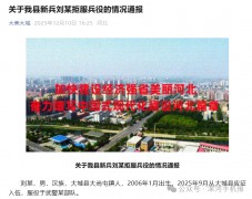 刘某（2006年生），不得录用为公务员