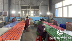 驿城区老河乡：&ldquo;小玩具&rdquo;做出增收&ldquo;大文章&rdquo;