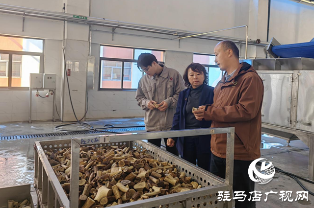 龟鹿药业：深学笃行 以党的二十届四中全会精神引领发展新征程