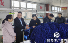 泌阳县羊册镇陶庄村：&ldquo;点线面&rdquo;工作法 绘就立体党建新画卷
