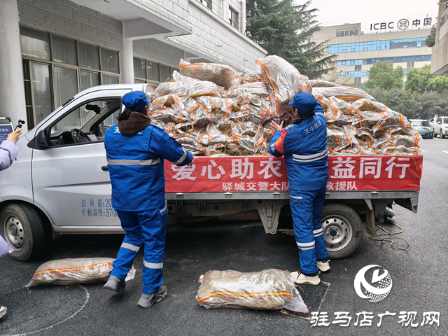 千亩红薯滞销农户愁 救援队“带货”传温情