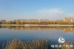 【大美天中】泌阳县南河公园：残荷芦苇绘就静谧画卷