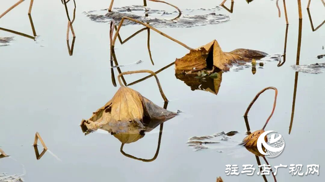 图片22.png