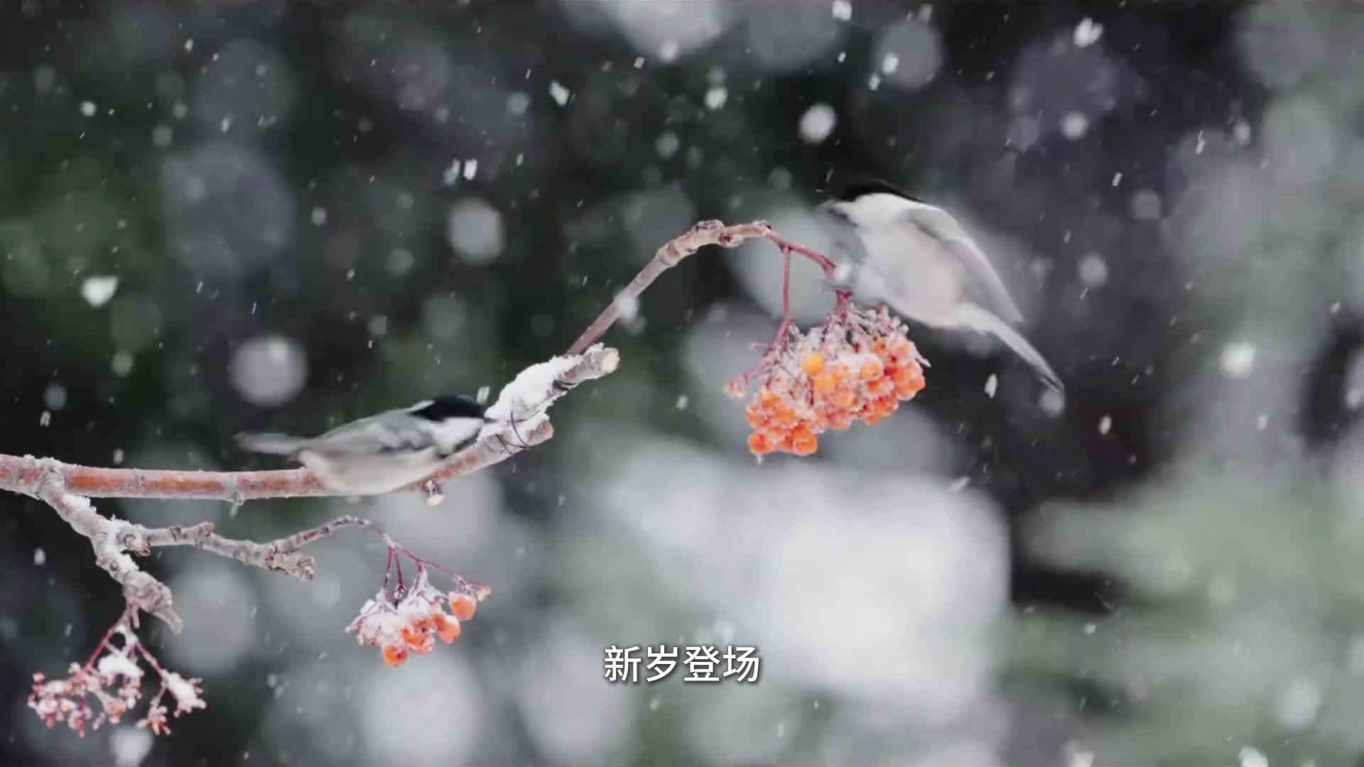 小寒